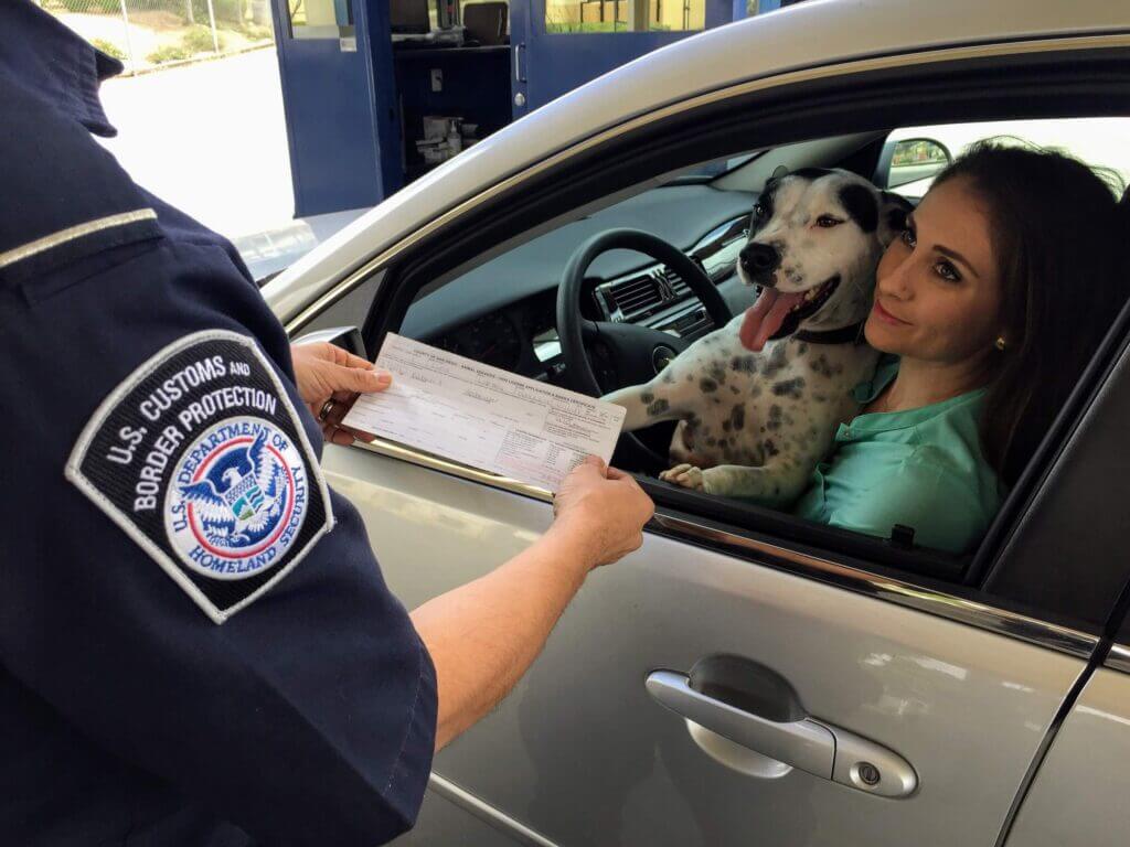 Mujer junto a su perro mostrando documentación a un oficial del Departamento de Seguridad Nacional.
